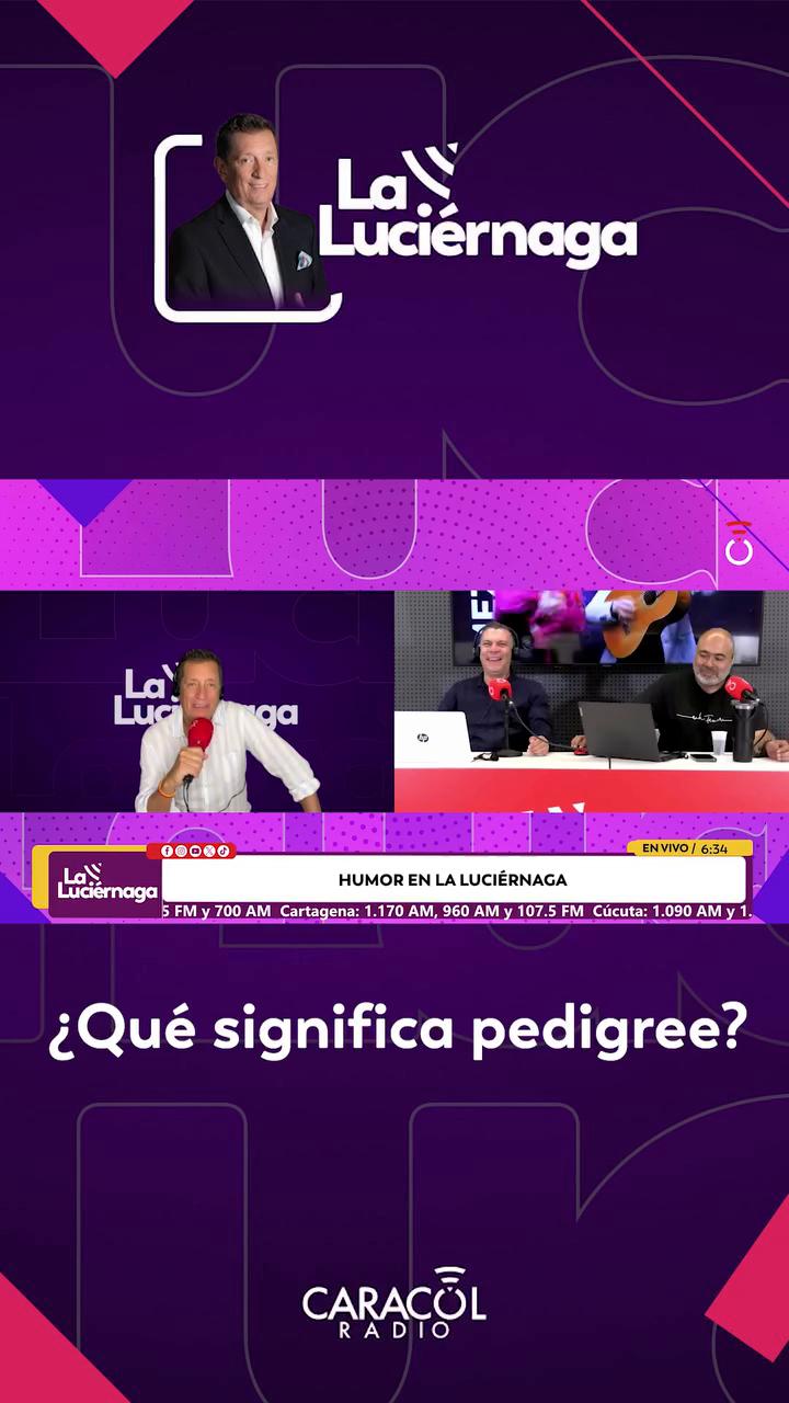 #LaLuciérnaga | ¿Qué significa pedigree?
