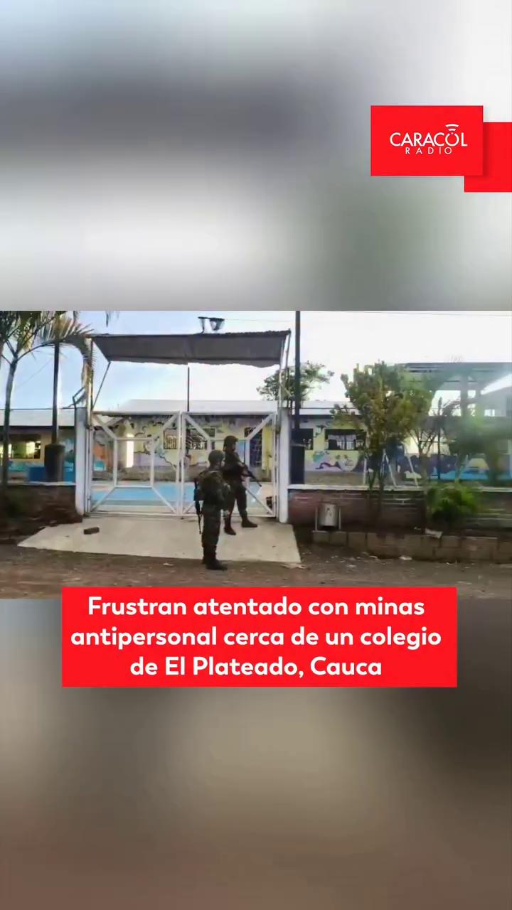 Ejército destruye dos minas antipersonal a 250 metros de un colegio en Argelia, Cauca