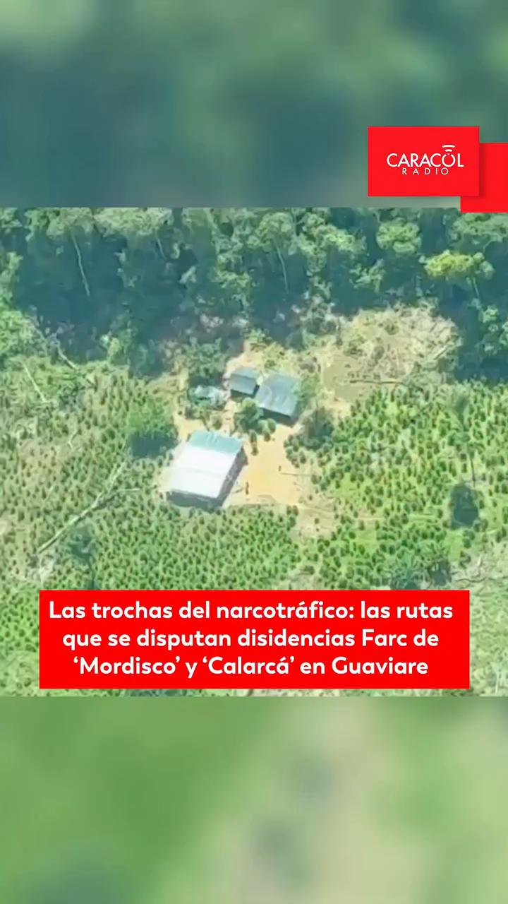 Disidencias FARC se disputan corredores de cocaína en Guaviare con más de 50 muertos