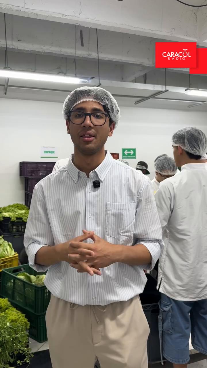 Medellín Cero Hambre reduce la inseguridad alimentaria al 19,6% en 2025