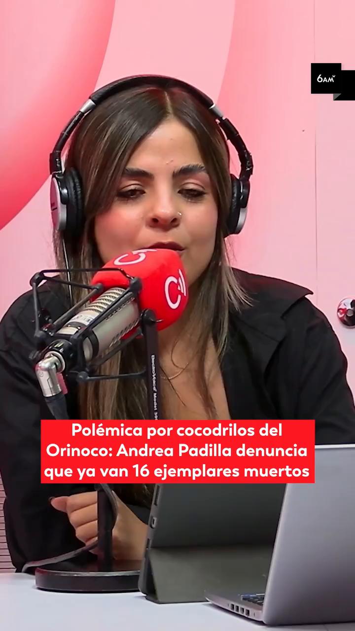 Senadora Andrea Padilla denuncia inacción del Ministerio de Ambiente con cocodrilos