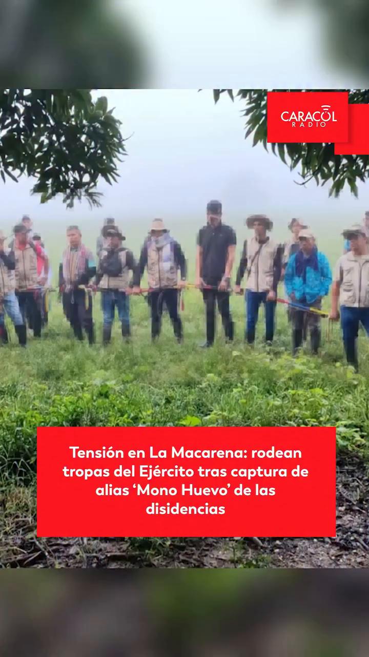 Capturan a alias Mono Huevo, cabecilla de disidencias de las FARC en el Meta