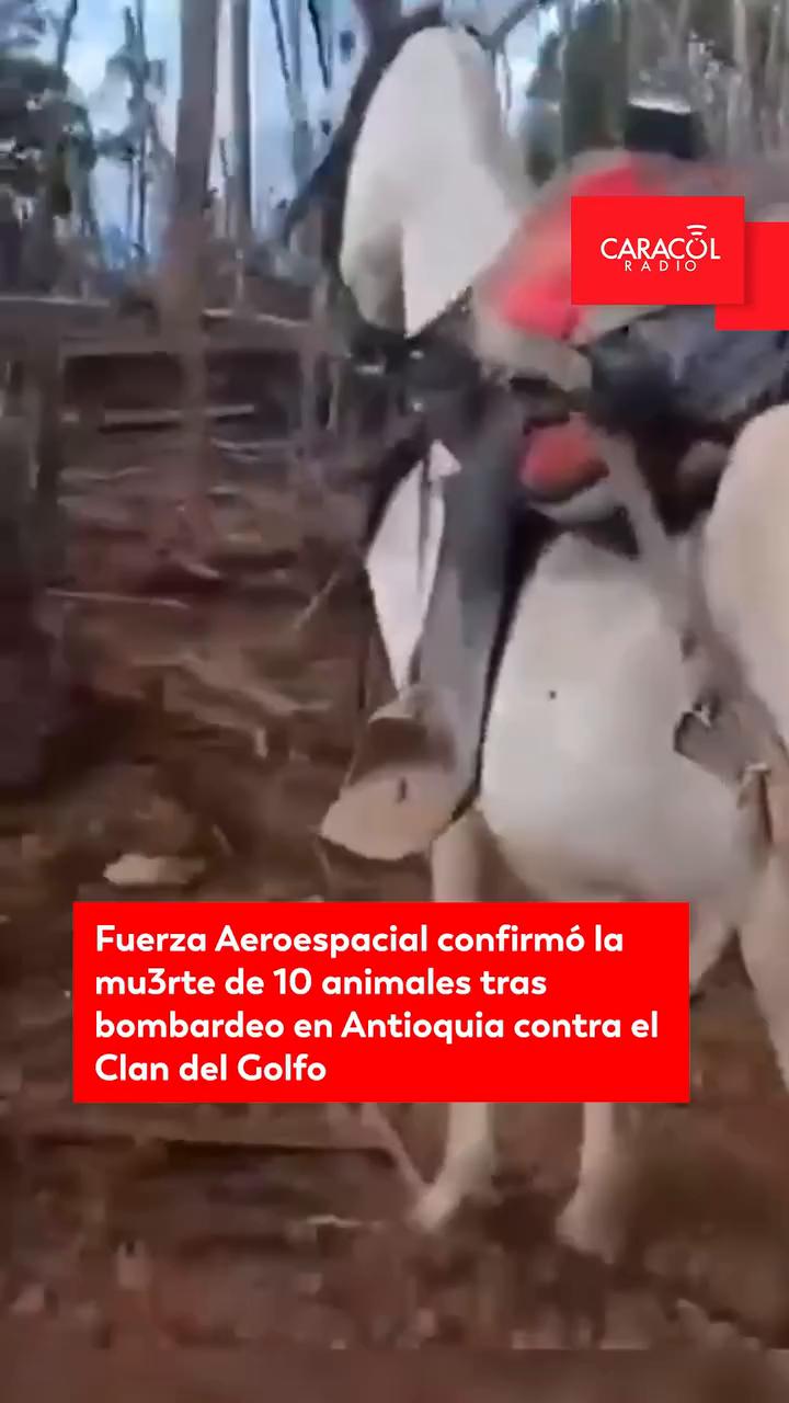 Fuerza Aeroespacial confirma muerte de 10 reses en bombardeo contra Clan del Golfo