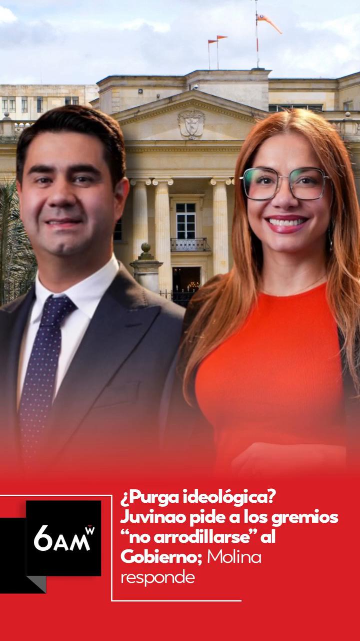 Despidos por ideología en el gobierno generan desconcierto entre demócratas y libertarios