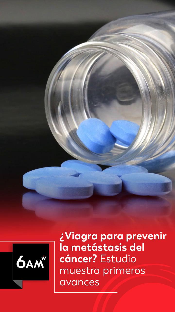 Viagra interrumpe el transportador NPC1 y frena la metástasis en células cancerígenas