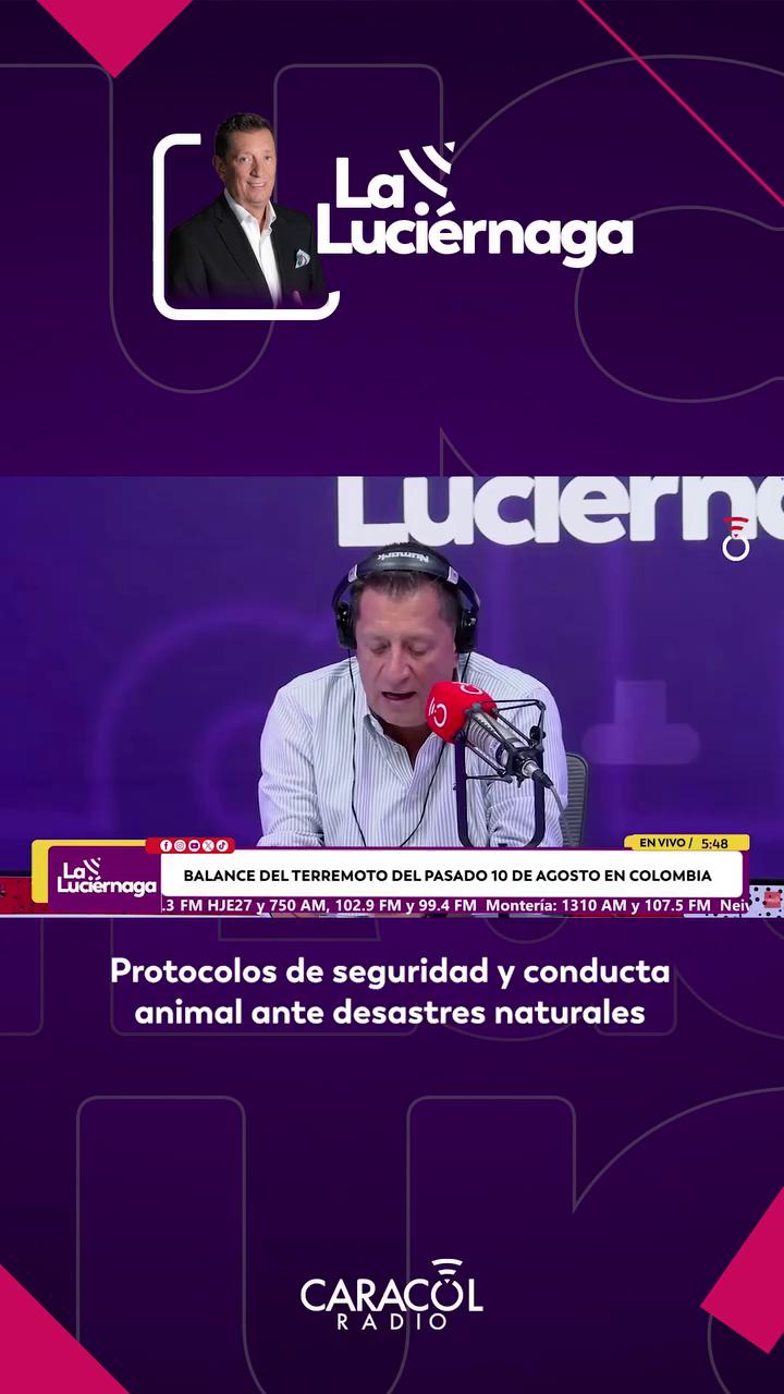Acu Lee: en sismo es mejor quedarse en casa que evacuar a los gatos