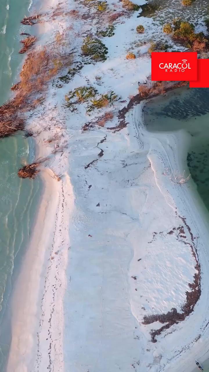 Avianca ofrece vuelos diarios a Saint Pete Clearwater para unas vacaciones familiares