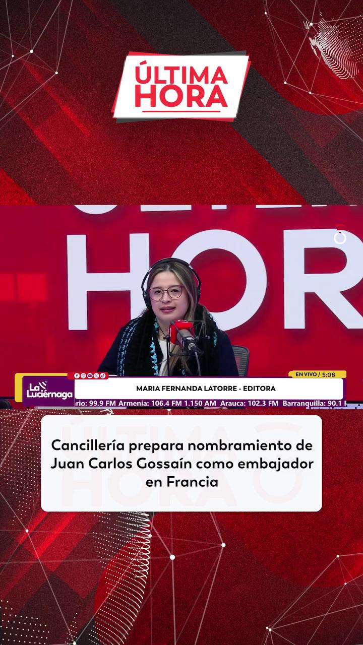 Juan Carlos Gozaín Rognini será el próximo embajador de Colombia en Francia