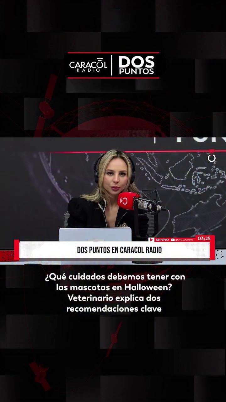 Expertos alertan sobre alimentos tóxicos para mascotas en Halloween