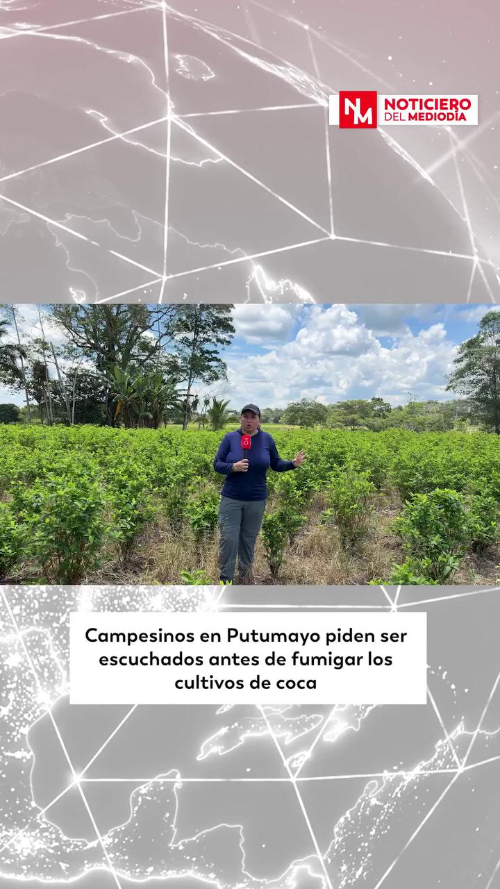 Campesinos de Putumayo exigen alternativas antes de fumigación con glufosinato