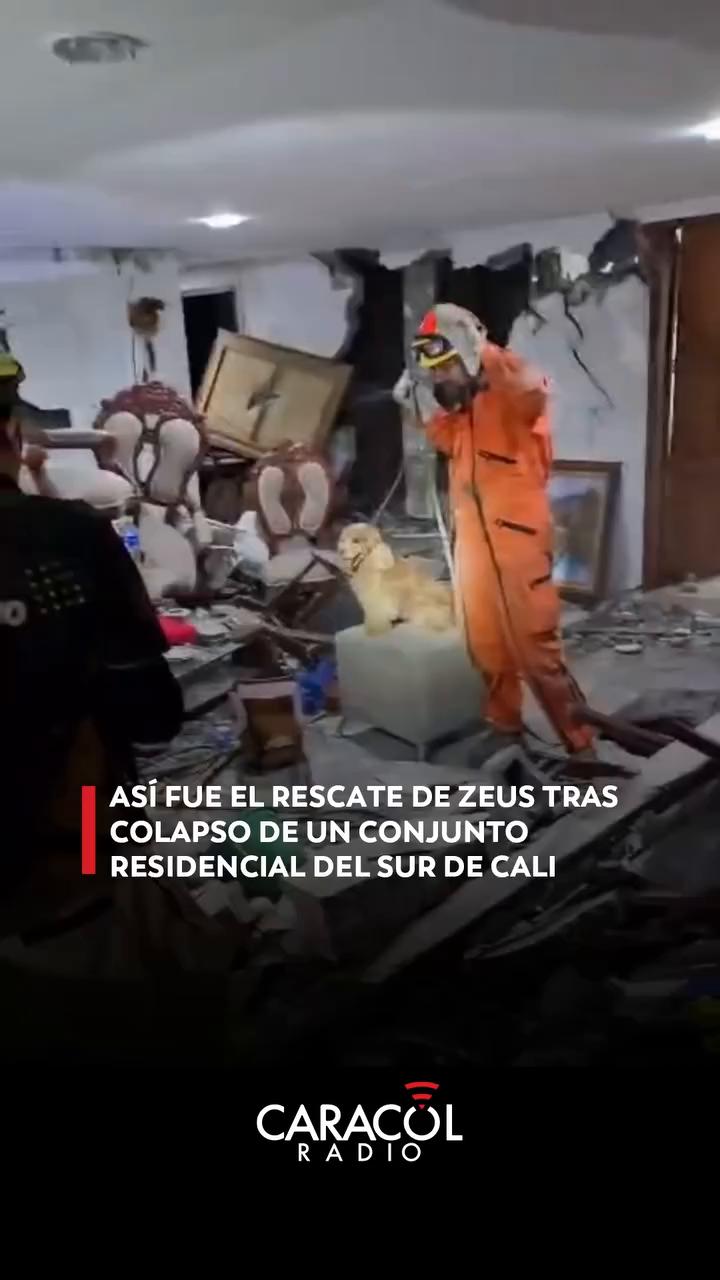 Zeus el perro está asustado y amenaza con morder durante el intento de rescate