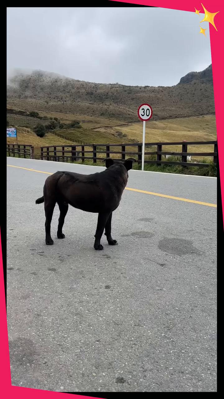 El negro del Nevado del Ruiz sirve chorizos caseros a 4.400 metros de altura