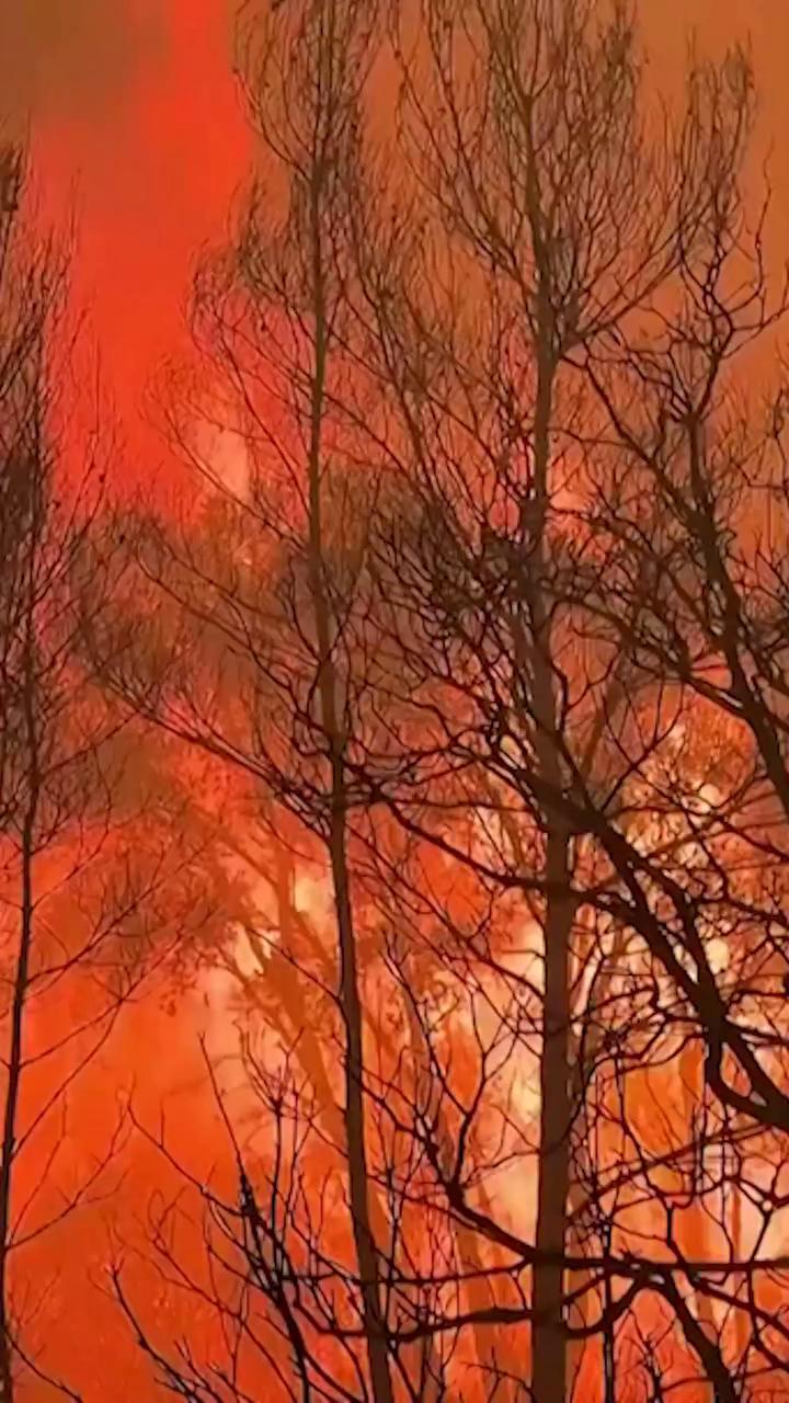 Somos una generación egoísta que destruye el entorno que nos sustenta
