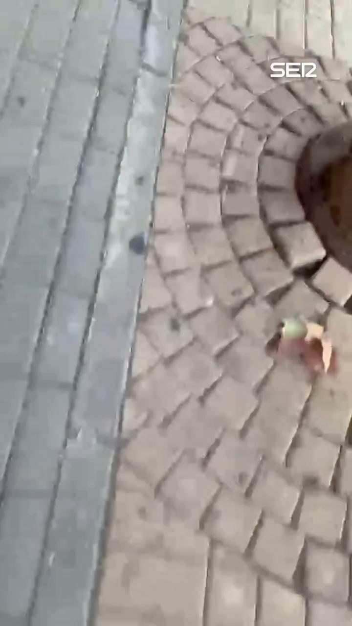 Presidente del Getafe niega haber engañado a Bordalás tras las críticas