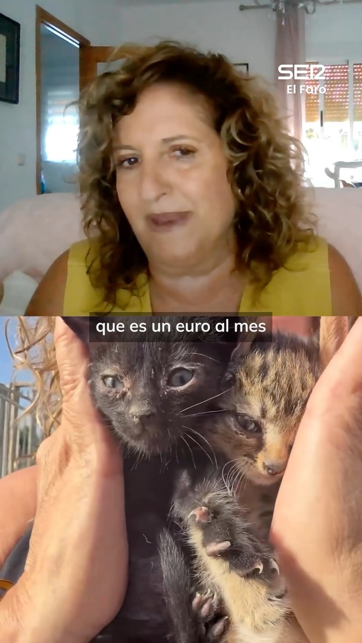 Llama al 062 si ves un animal en peligro y no mires a otro lado