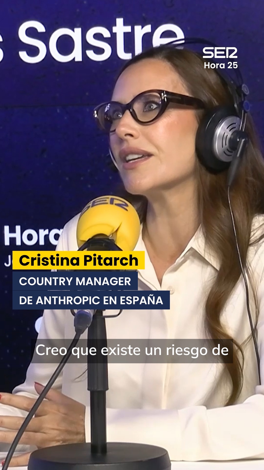 Pitark rechaza que la IA acabe con la humanidad antes de esta década