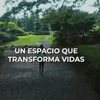 @JosePaliza ¿cómo propone el gobierno ampliar el Botánico ? A escasa distancia del Jardín,hemos planificado sanear una importante sección de la cañada de Arroyo Hondo