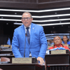 @DiputadosRD El vocero de la bancada del Partido de la Fuerza del Pueblo (@DiputadosFP), Rafael Castillo (@rcastillocasado), destaca que el proyecto de ley de alquileres de bienes inmuebles y desahucios, es un proyecto país que sustituye un decreto trujillista