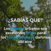 @FAOenEspanol Las plantas, y especialmente los árboles, ayudan a mitigar el cambio climático al absorber dióxido de carbono