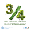 @FAOenEspañol Sin las abejas y otros polinizadores muchos de nuestros alimentos no existirían