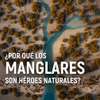@ONU_es Los manglares son superhéroes en peligro. Protegen nuestras costas, dan hogara miles de especies y ayudan a combatir el cambio climático.