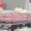 @MESCYTRD: “BIOIMPRESIÓN 3D EN MEDICINA REGENERATIVA E INGENIERIA DE TEGIDOS”  |XX Congreso Internacional de Investigación Científica 2025 (2DA entrega)