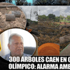 ATENCIÓN @AmbienteRD @unep_espanol CRIMEN AMBIENTAL |  INDIGNACIÓN por tala de 300 árboles en el Centro Olímpico | Fundación Wiche García Saleta LO CONDENA