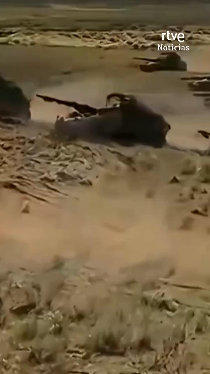 Milei recorta 30 millones al Ejército argentino que paga con membrillo