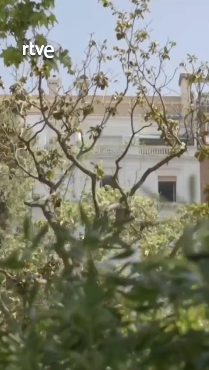 El sicario sin nombre revela su identidad en la última novela de la trilogía