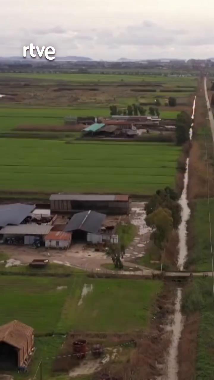 Los Prims de los Esquiabone siguen dirigiendo su granja tras el hallazgo de un arsenal