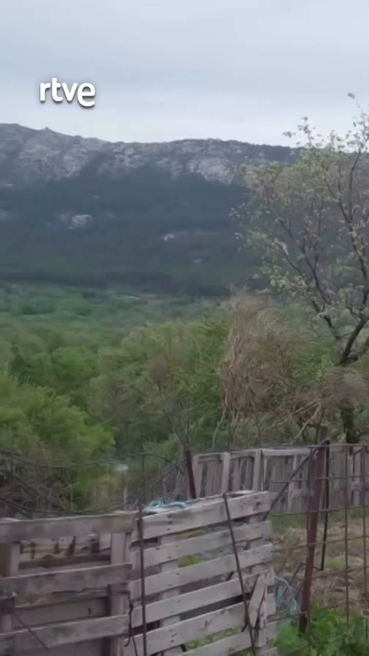 Laura y su rebaño bombero protegen la Sierra Norte de Madrid de incendios