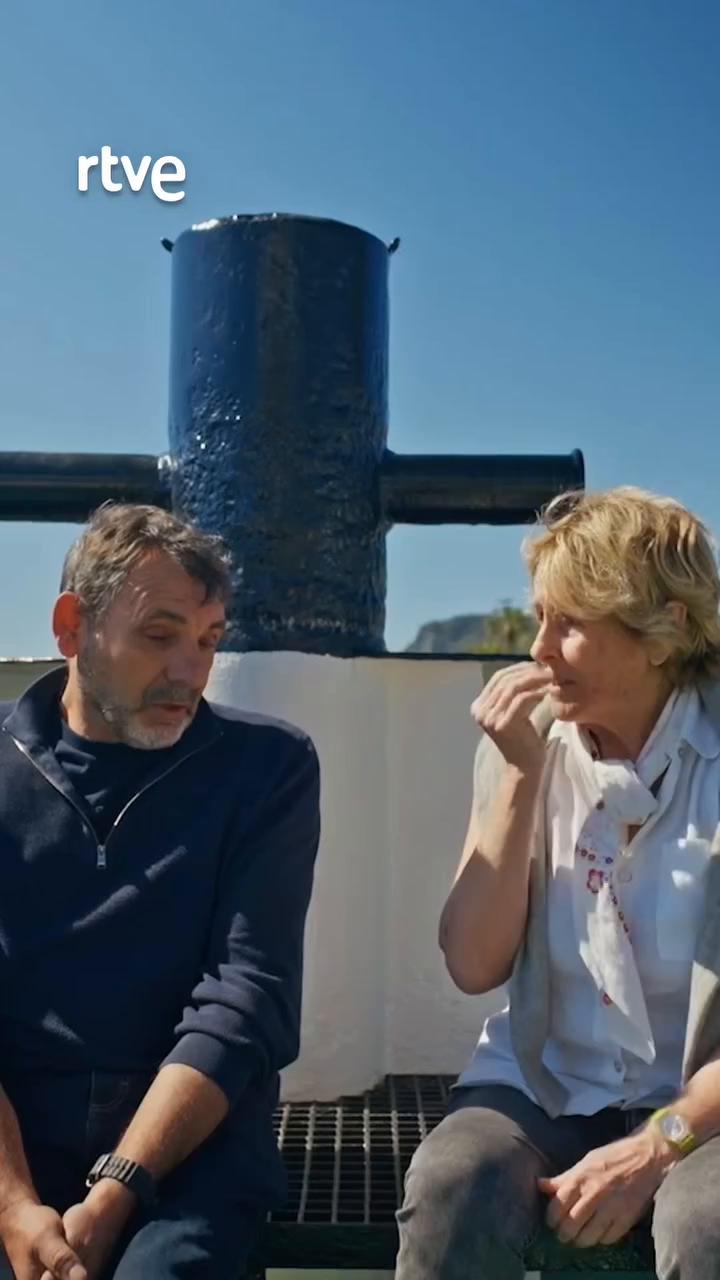 No como pescado en Sicilia: hemos visto cuerpos comidos en el mar