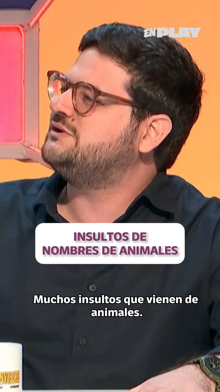 Pato, rata y becerro: los insultos venezolanos que vienen de animales