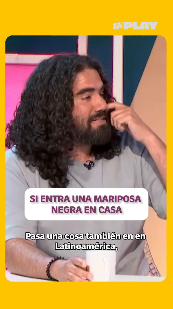 ¿Mariposa negra en casa? La superstición que advierte de una muerte cercana