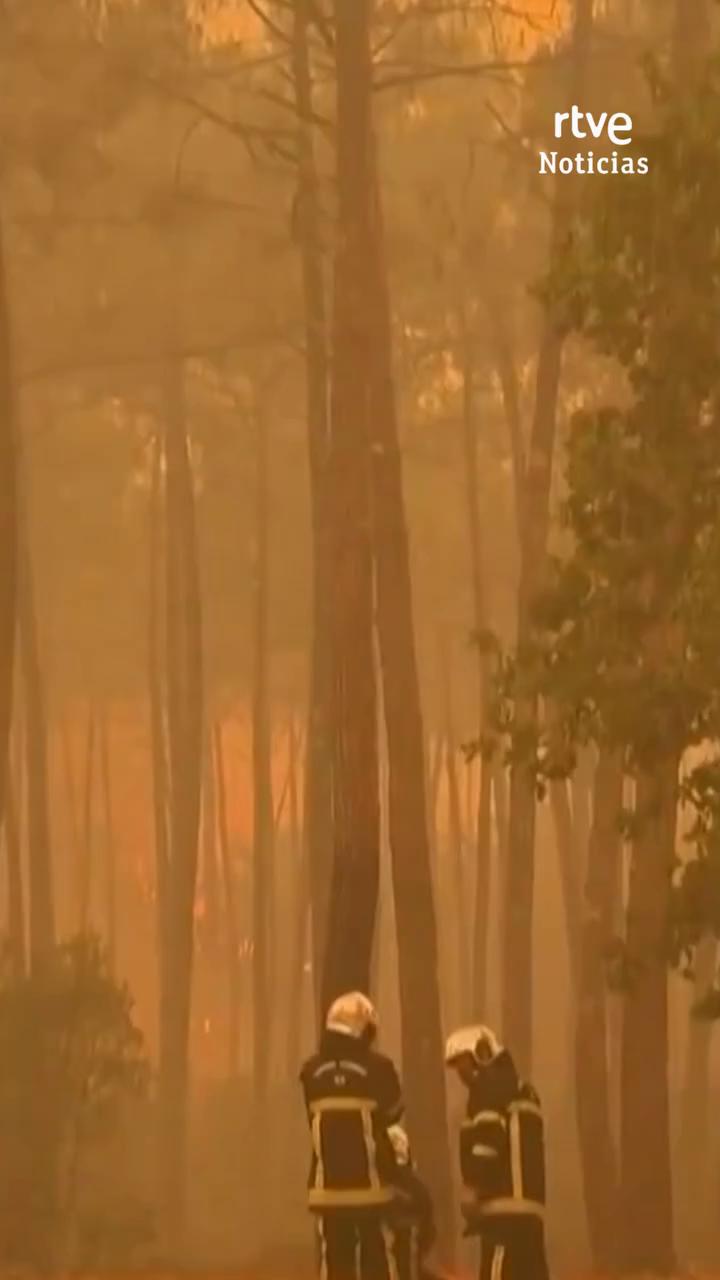 Incendios en Gironda y Las Landas obligan a evacuar a 140.000 personas en Francia