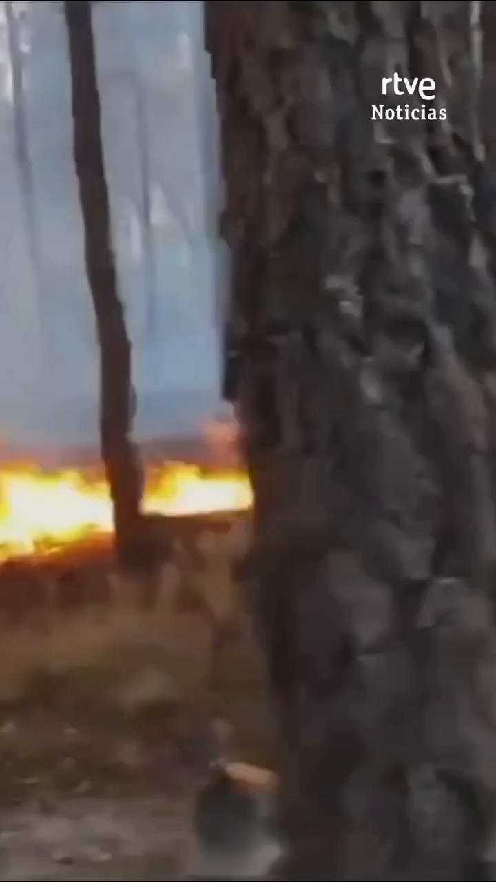 Incendio fuera de control en Sierra Norte de Guadalajara quema 2.000 hectáreas