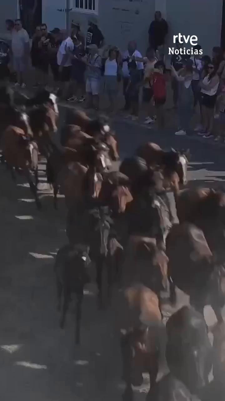 Más de 300 caballos participan en la tradicional rapa das bestas de Sabucedo