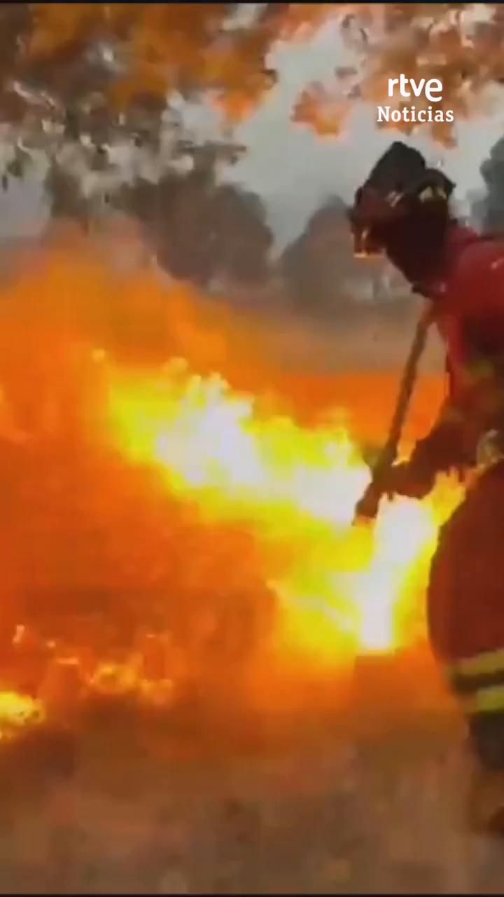 El viento aviva los incendios en Fermosey: mil evacuados en Zamora