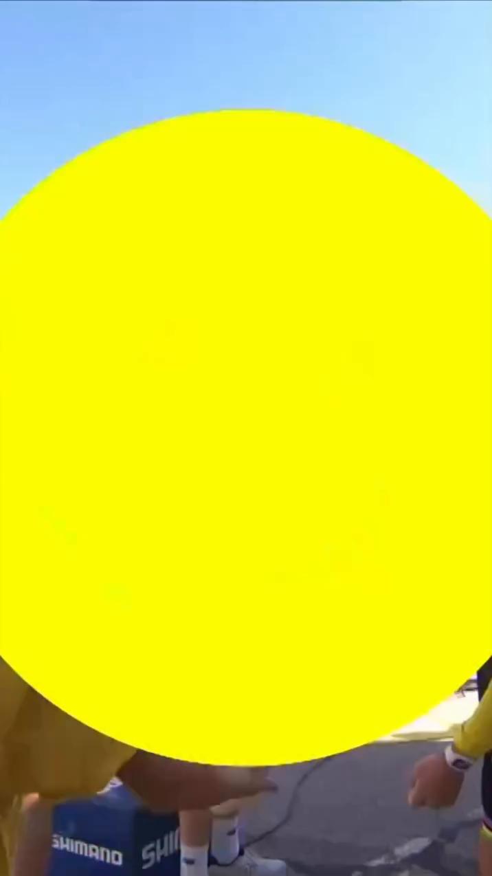 Un fan s'exclame : j'ai la cour de Pogacar sans la photographier
