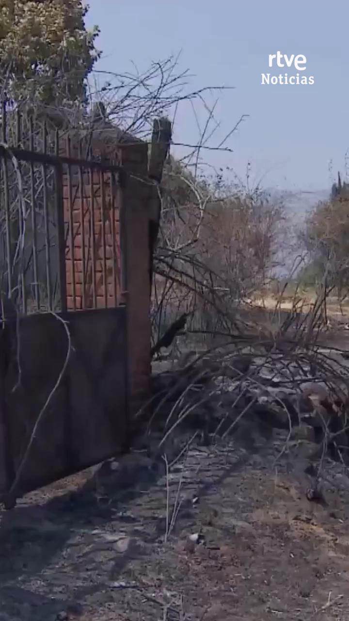 Los peores incendios de la historia se estabilizan en el centro peninsular