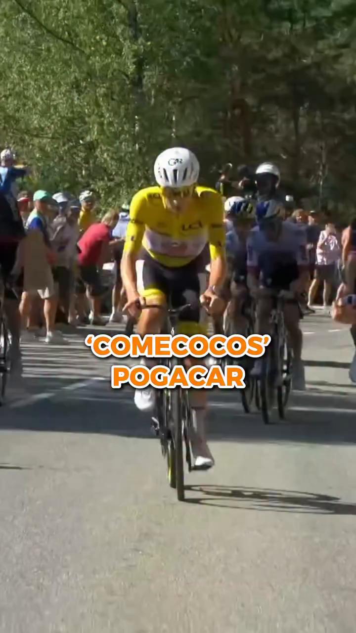 Pogacar quiere ganar solo y marca un ritmo demoledor en el Tour