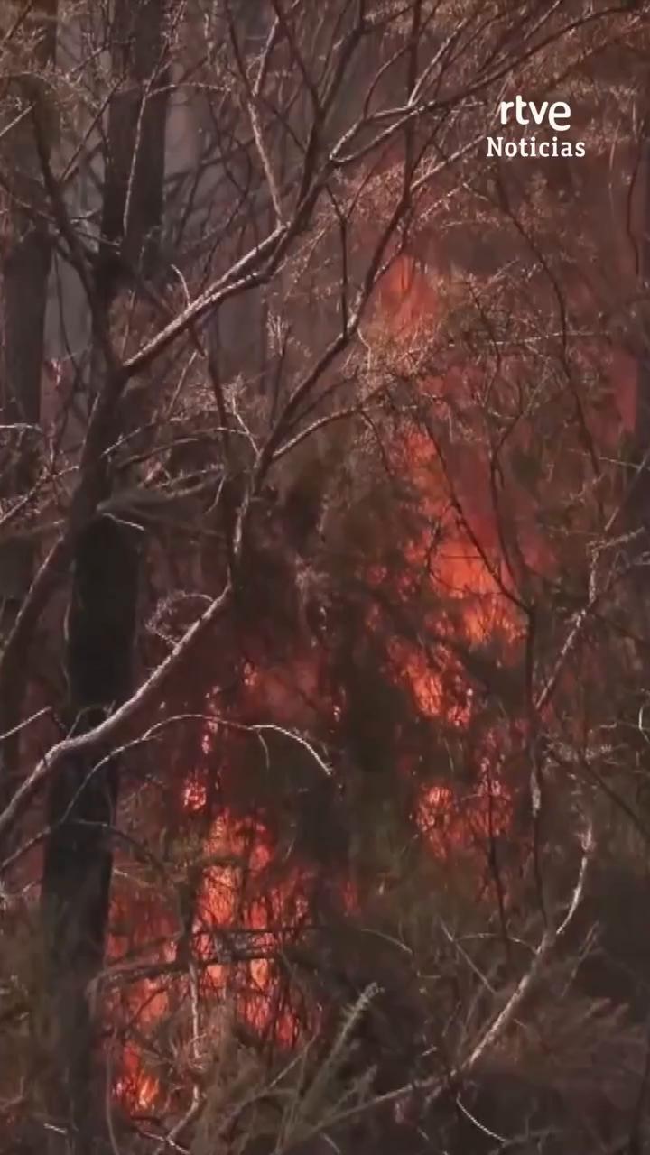 El peor incendio de la historia de Francia arrasa 42.000 hectáreas en Gironda