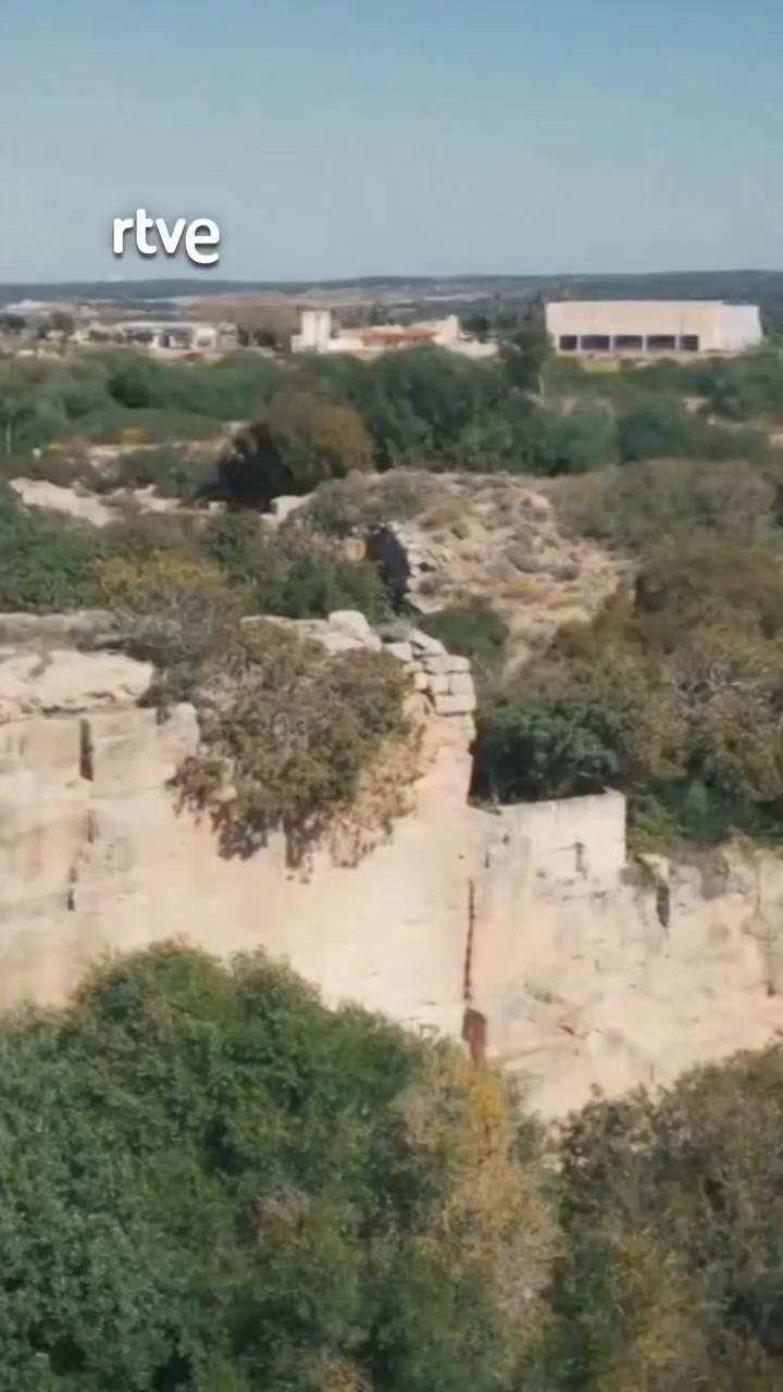 Menorca alberga endemismos únicos esenciales para sus ecosistemas que deben protegerse