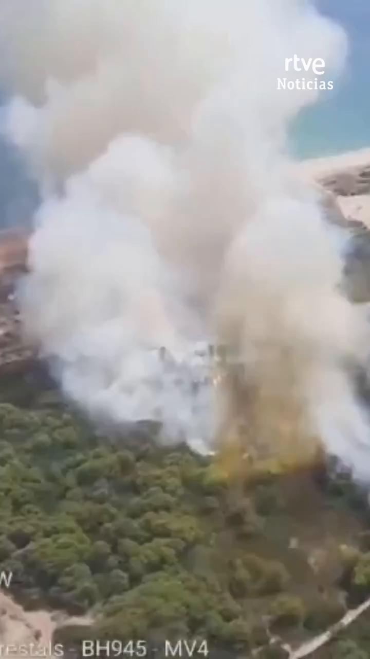 Incendio forestal en Valencia obliga a desalojar el Saler y campings de la Albufera