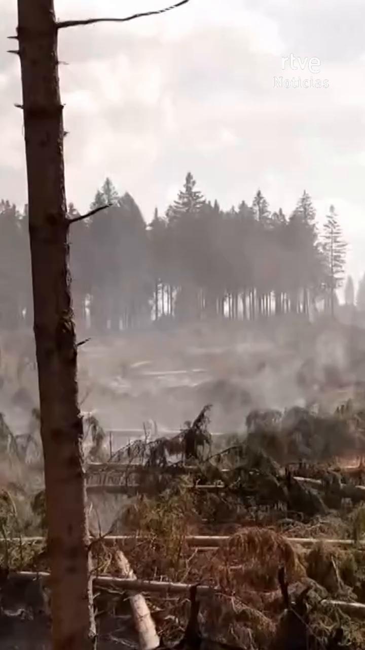 El incendio en las Ardenas hace estallar bombas de la Segunda Guerra Mundial
