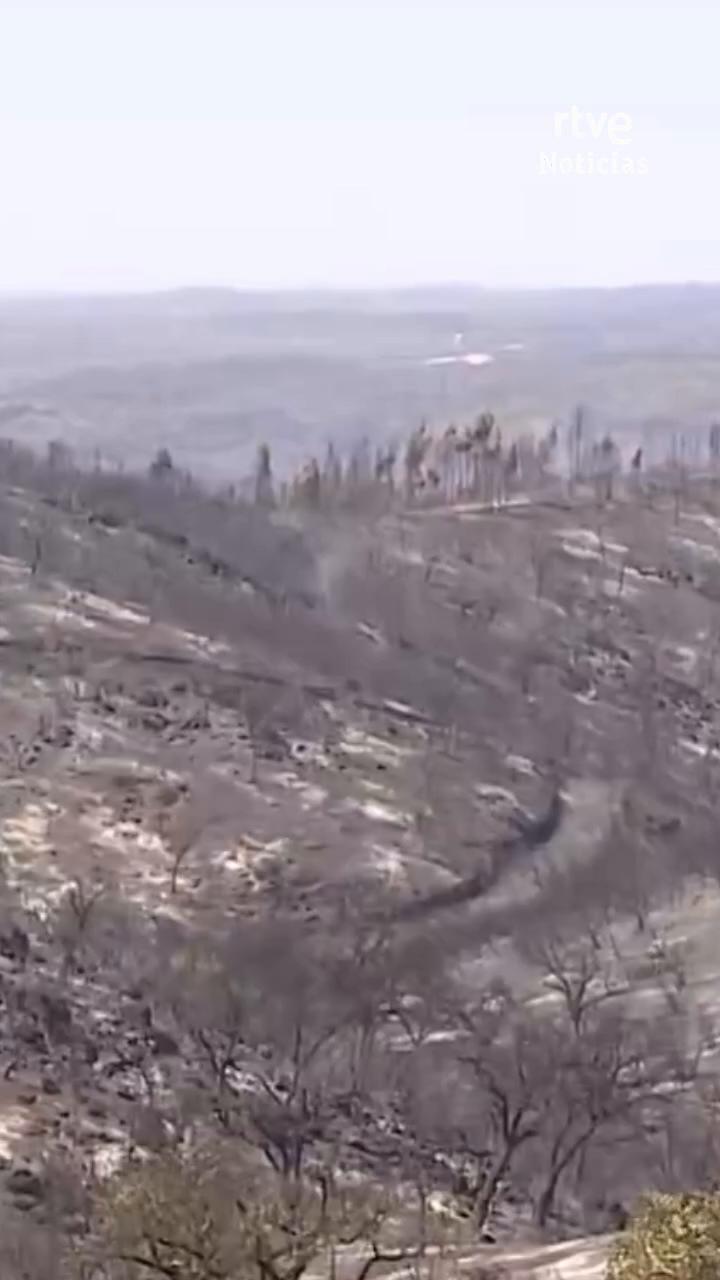 Controlado tras dos semanas el incendio de niebla en Huelva que quemó 33.000 hectáreas