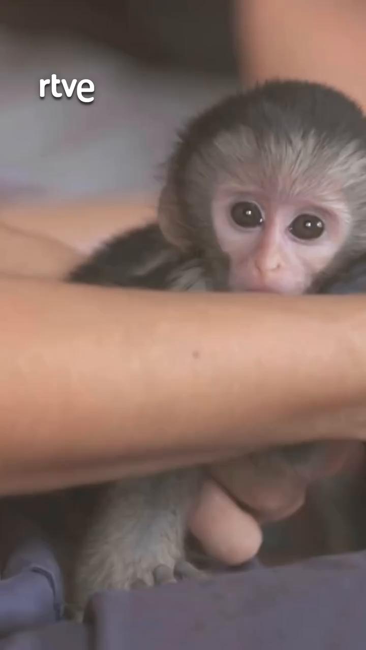 Tony, el bebé abandonado en la carretera, revive gracias a la leche de soja