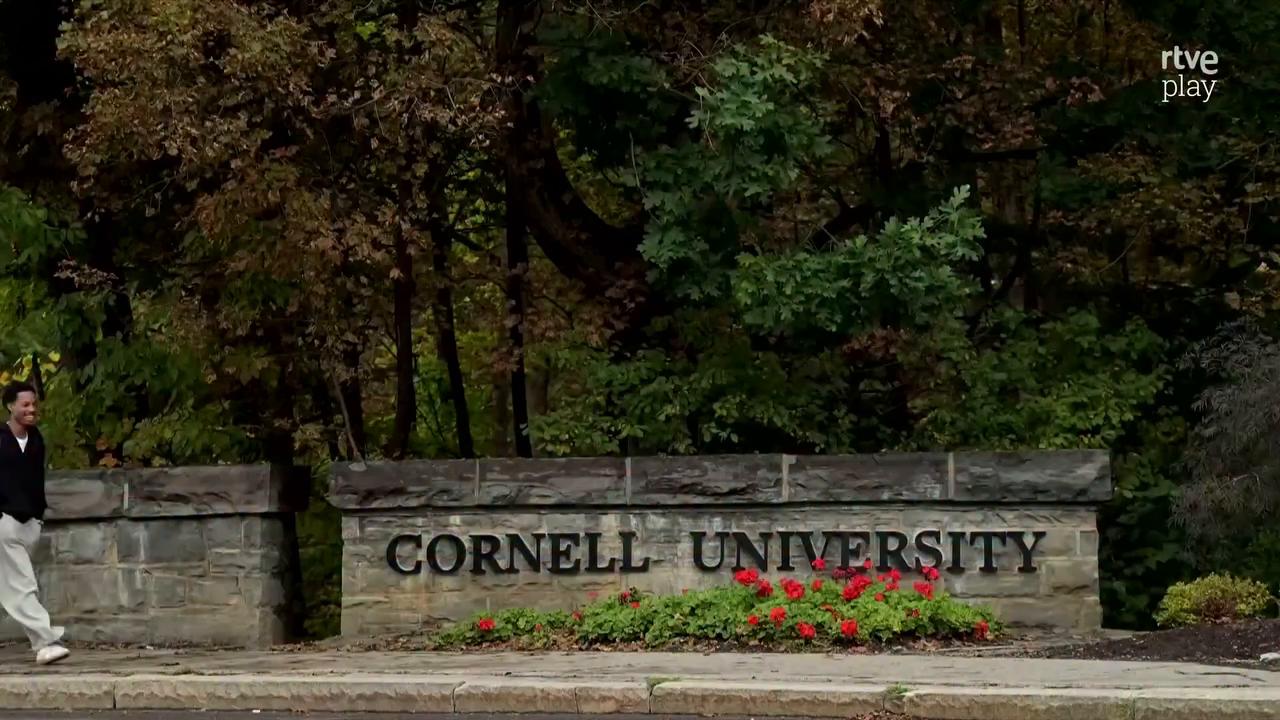 Nueva York investiga denuncia de violación grupal en universidad tras oferta en redes