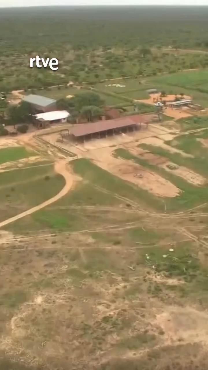 La elefanta albina Cañisa se une a su nueva familia en el orfanato Gerd
