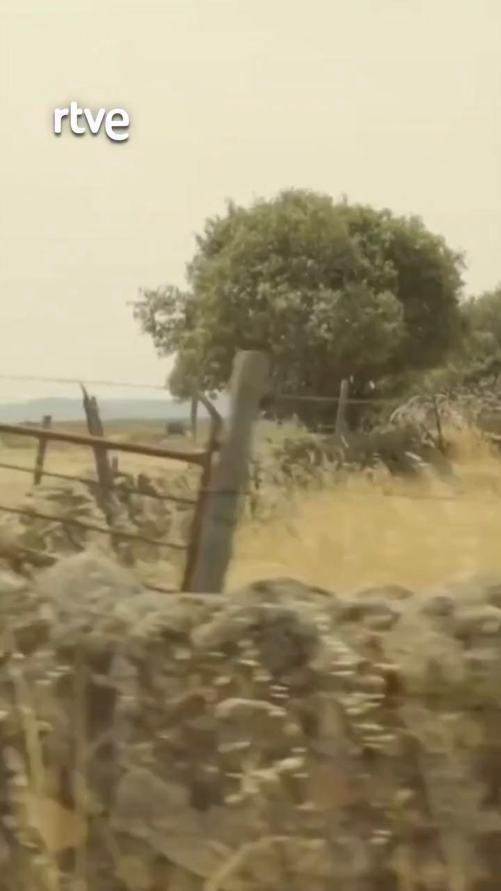 Desde Huelva un grupo de jóvenes grabó en 1973 'Nuestra Andalucía' y marcó una generación